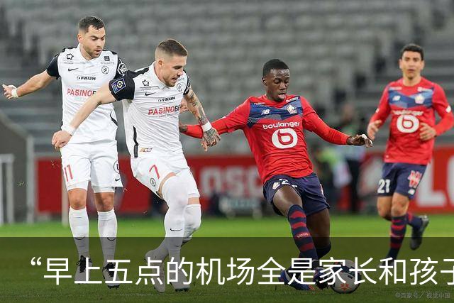 “早上五点的机场全是家长和孩子”，秋假激活传统旅游淡季：10月底至12月初“周周有高峰”