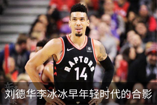 刘德华李冰冰早年轻时代的合影