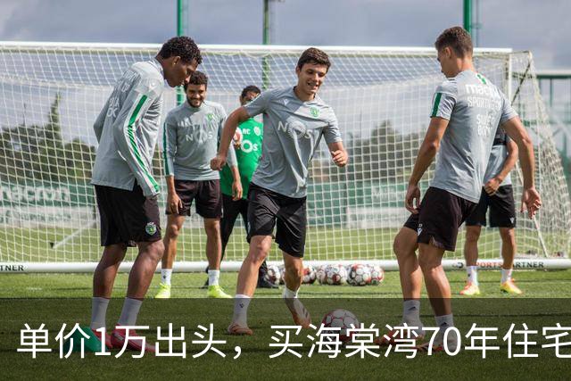 单价1万出头，买海棠湾70年住宅？这个项目，堪比杀猪盘！