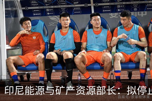 印尼能源与矿产资源部长：拟停止向不尊重印尼的国家供能