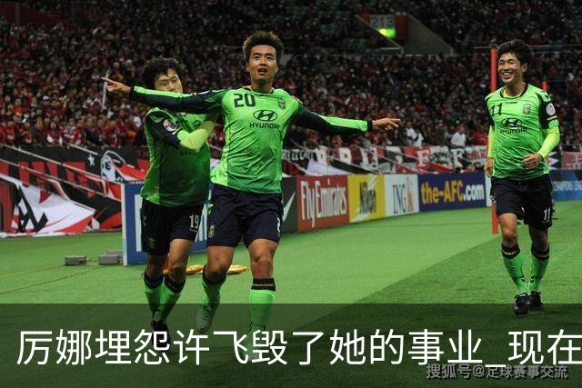 厉娜埋怨许飞毁了她的事业 现在二人谁的收入更高？