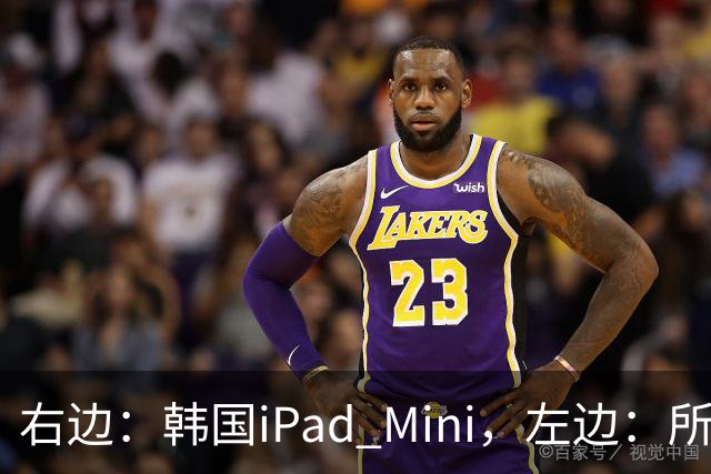 右边：韩国iPad Mini，左边：所有其他国家的iPad Mini