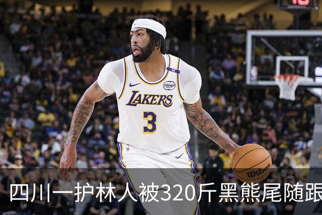 四川一护林人被320斤黑熊尾随跟了一天，无奈举起砍刀对峙