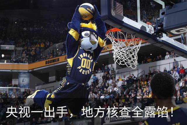 央视一出手，地方核查全露馅！