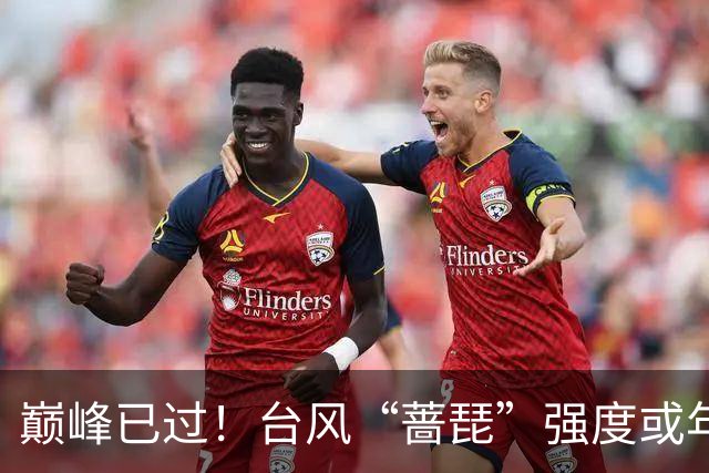 巅峰已过！台风“蔷琵”强度或年内“称王”！赴日概率在逐渐加大