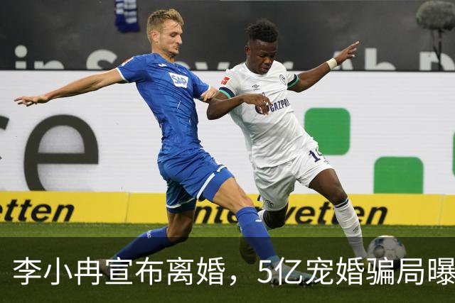 李小冉宣布离婚，5亿宠婚骗局曝光，11年丁克崩盘，郭京飞没说错