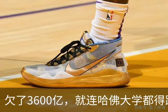 欠了3600亿，就连哈佛大学都得跟着退款