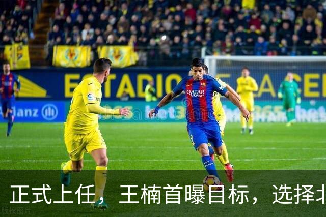 正式上任，王楠首曝目标，选择北上执教，大魔王这次动真格了
