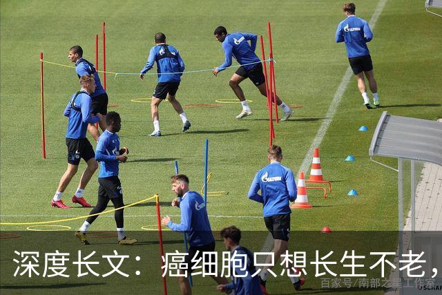深度长文：癌细胞只想长生不老，人类跟这个叛徒到底打了一场什么仗？