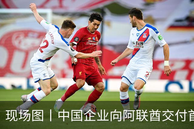 现场图丨中国企业向阿联酋交付首架飞行汽车