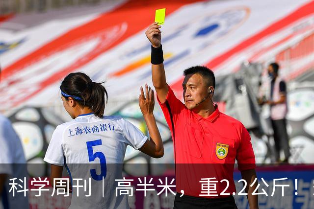 科学周刊｜高半米，重2.2公斤！霸王滇菌是怎么长到这么大的？大风新闻专访微生物研究专家