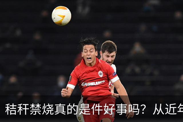 秸秆禁烧真的是件好事吗？从近年蚯蚓鸟类和蛇类数量就能看出来