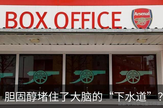 胆固醇堵住了大脑的“下水道”？阿尔茨海默小鼠实验给出线索