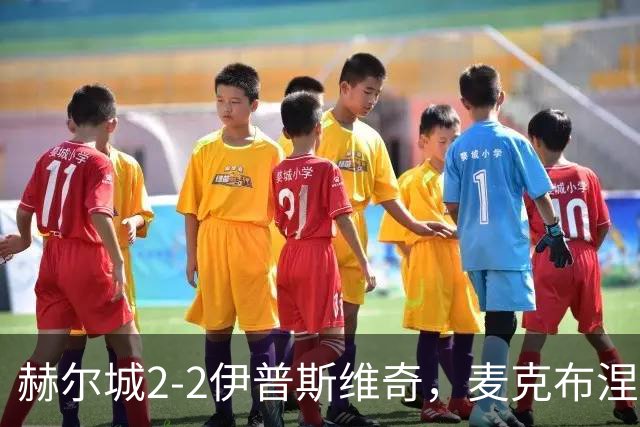 赫尔城2-2伊普斯维奇，麦克布涅传射建功，恩西索世界波破门