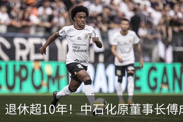 退休超10年！中石化原董事长傅成玉被查！