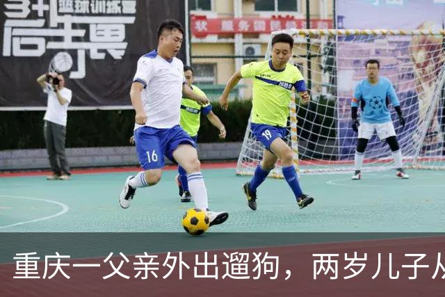重庆一父亲外出遛狗，两岁儿子从家中坠亡，最新进展：孩子父亲怕妻子轻生事后装防护网，澄清“对狗更好，回家先抱狗”