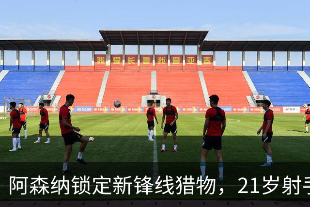 阿森纳锁定新锋线猎物，21岁射手8场7球领跑意甲