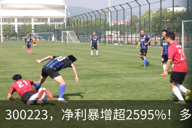 300223，净利暴增超2595%！多家A股公司业绩爆发
