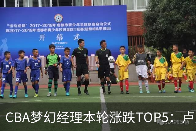 CBA梦幻经理本轮涨跌TOP5：卢鹏羽上涨38.66%领涨，张镇麟位列第三！